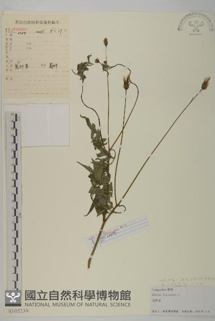 鬼針藏品圖，第1張