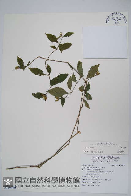 登錄號:S116460藏品圖，第1張