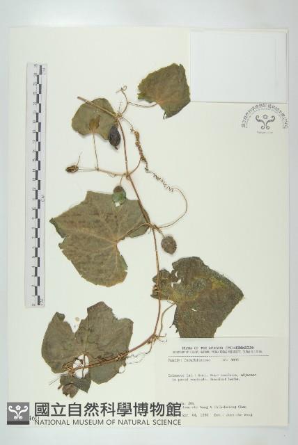 登錄號:S035460藏品圖，第1張