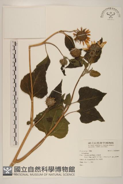 登錄號:S124640藏品圖，第1張