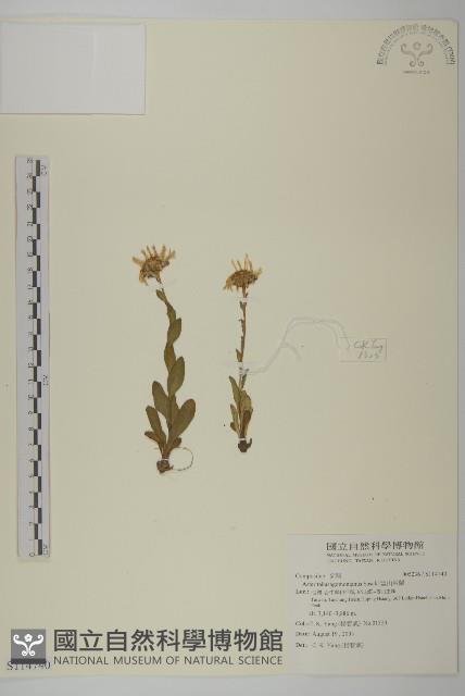 Accession Number:S114740 Collection Image, Figure 1, Total 2 Figures