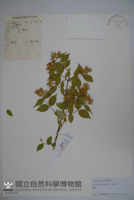 蝟實藏品圖，第1張