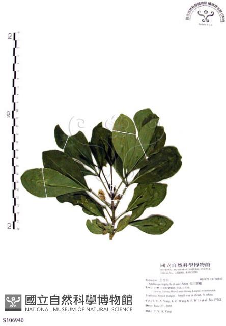 假三腳虌藏品圖，第1張