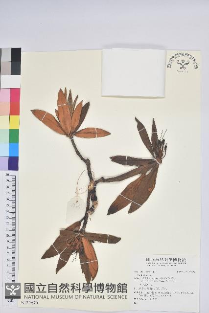 登錄號:S137670藏品圖，第1張