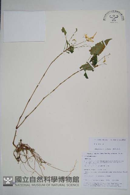 登錄號:S105680藏品圖，第1張