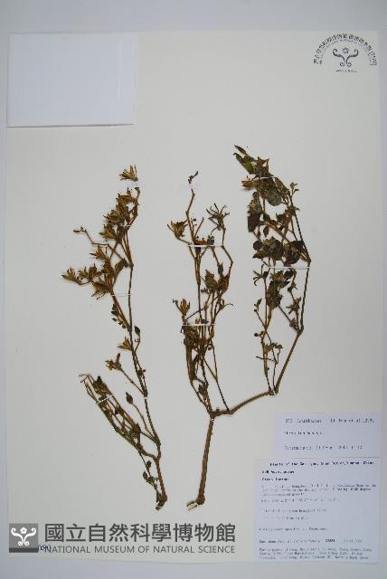 登錄號:S106080藏品圖，第1張