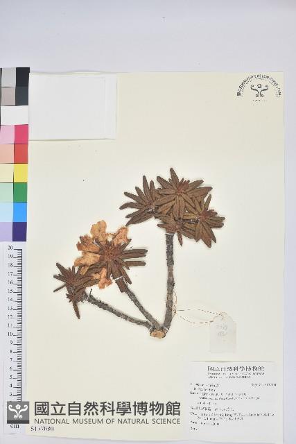 登錄號:S137080藏品圖，第1張