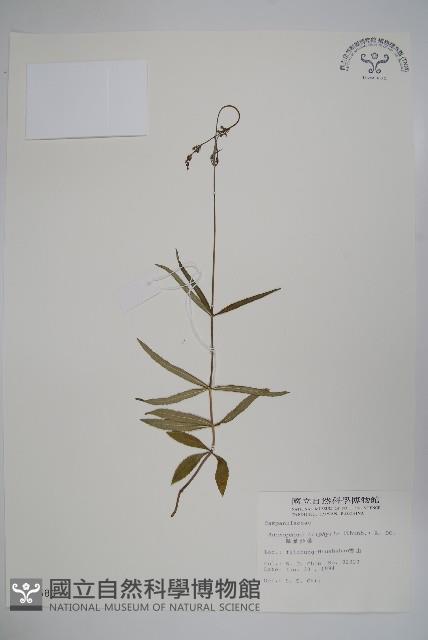 Accession Number:S015580 Collection Image, Figure 1, Total 2 Figures