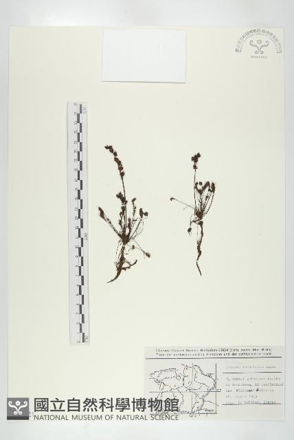 登錄號:S077621藏品圖，第1張