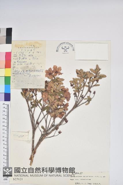 登錄號:S023021藏品圖，第1張