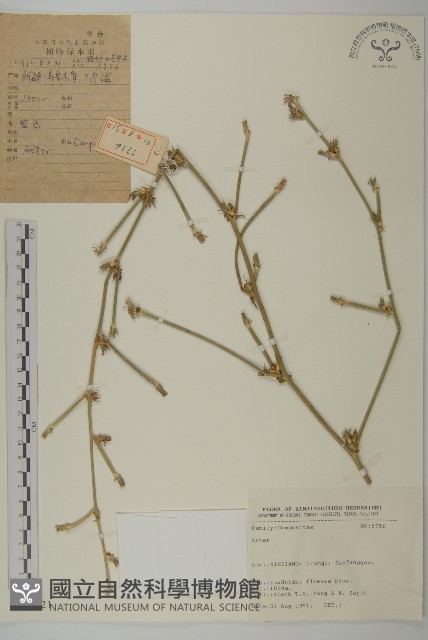 登錄號:S025721藏品圖，第1張