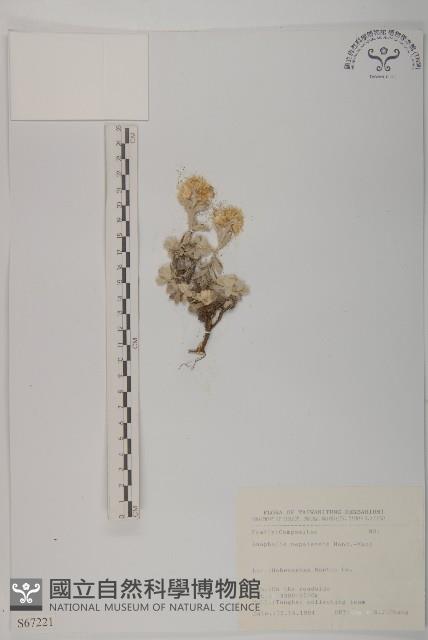 尼泊爾籟簫藏品圖，第1張