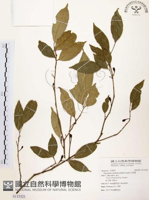 石苓舅藏品圖，第1張