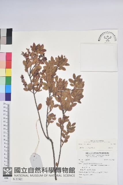 登錄號:S137921藏品圖，第1張