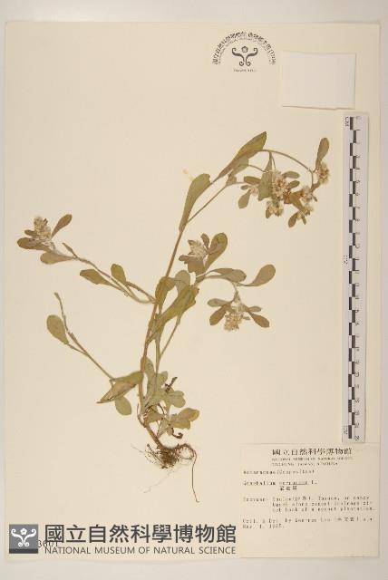 Accession Number:S003601 Collection Image, Figure 1, Total 2 Figures