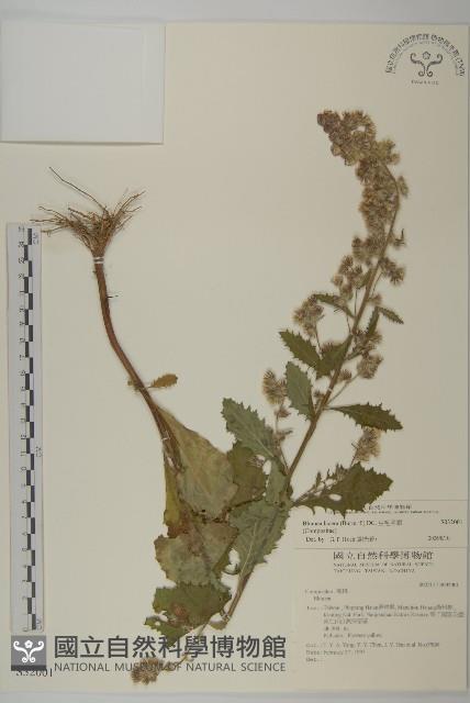 生毛將軍藏品圖，第1張