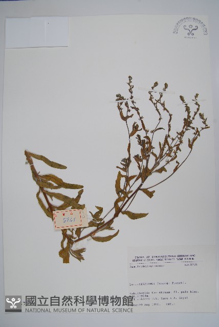 登錄號:S025701藏品圖，第1張