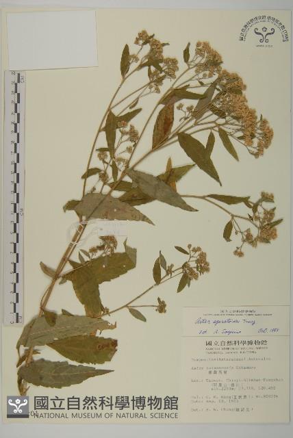 Accession Number:S012201 Collection Image, Figure 1, Total 2 Figures