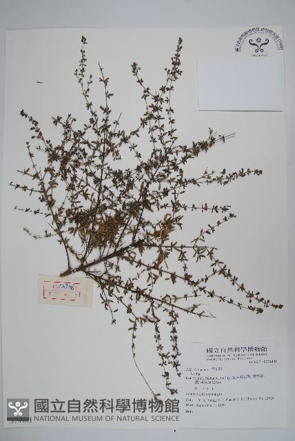 登錄號:S074401藏品圖，第1張