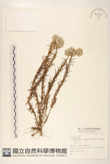 登錄號:S074101藏品圖，第1張