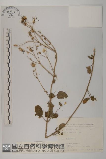 登錄號:S066801藏品圖，第1張