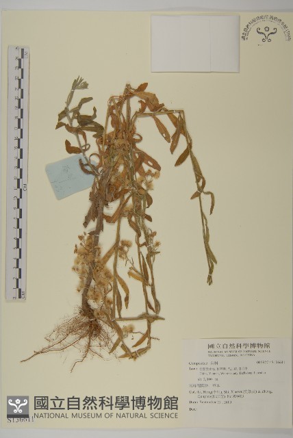 登錄號:S136611藏品圖，第1張