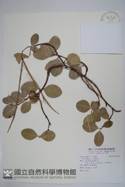 登錄號:S112611藏品圖，第1張