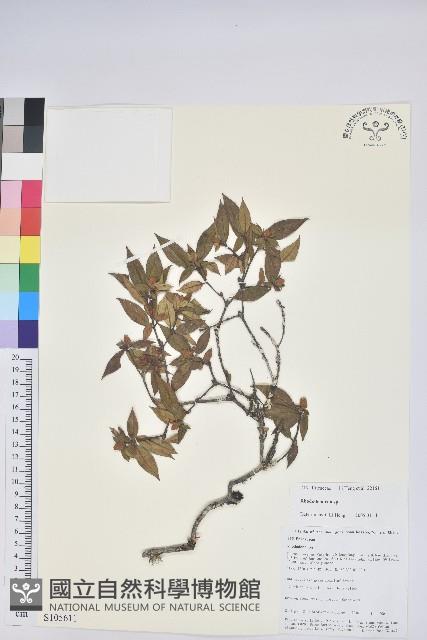 登錄號:S105611藏品圖，第1張