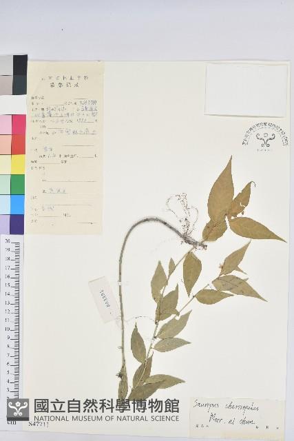 登錄號:S047711藏品圖，第1張