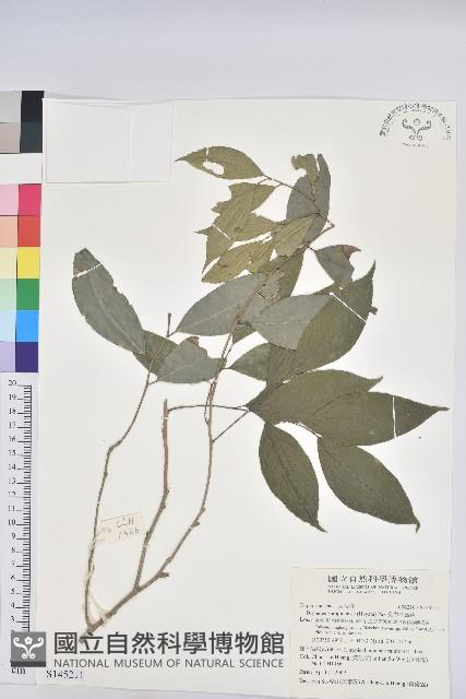 交力坪鐵色藏品圖，第1張