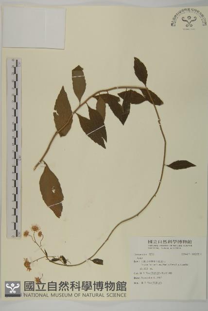 登錄號:S123211藏品圖，第1張