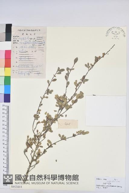 登錄號:S103111藏品圖，第1張