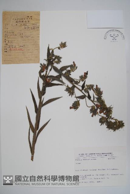 登錄號:S025811藏品圖，第1張