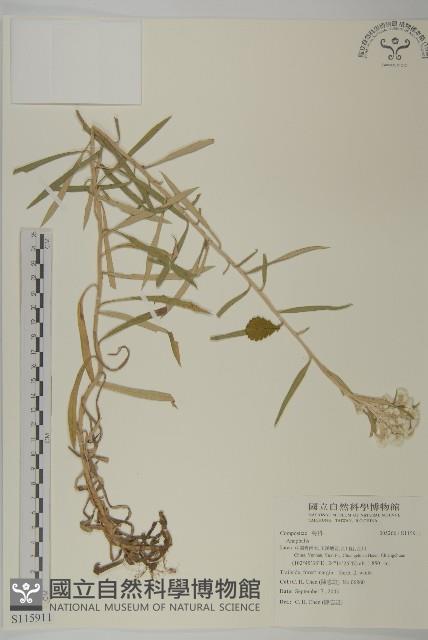 登錄號:S115911藏品圖，第1張