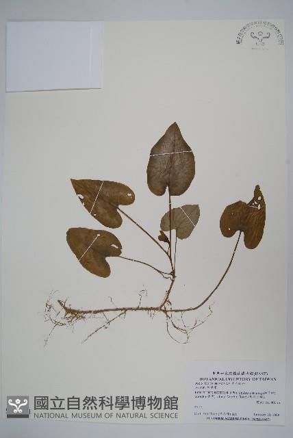 登錄號:S114511藏品圖，第1張