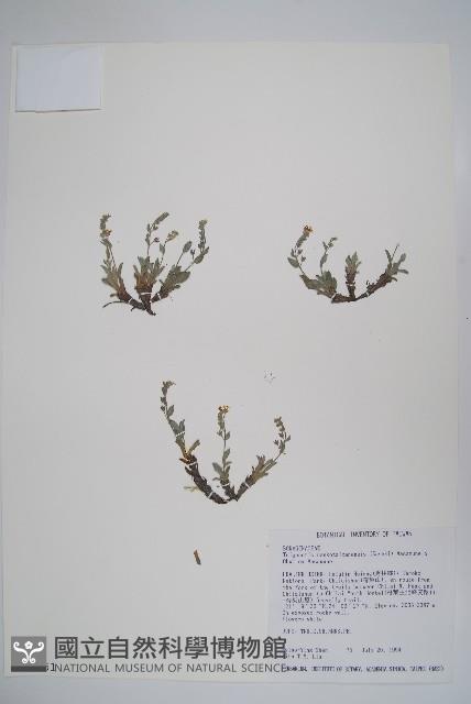 南湖附地草藏品圖，第1張