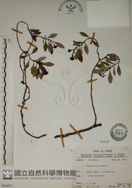 拎壁龍藏品圖，第1張