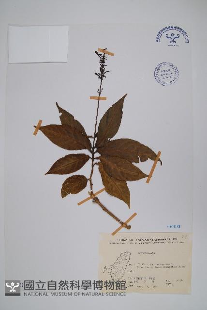 登錄號:S076051藏品圖，第1張