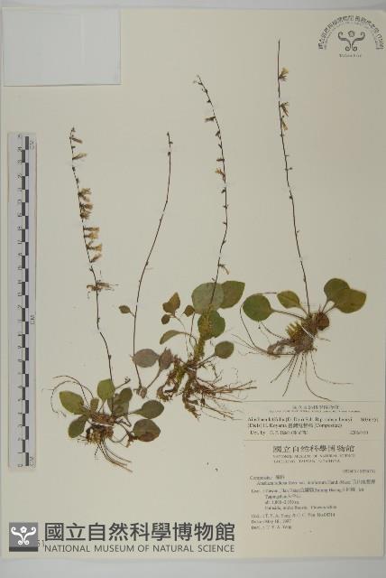 Accession Number:S036751 Collection Image, Figure 1, Total 2 Figures