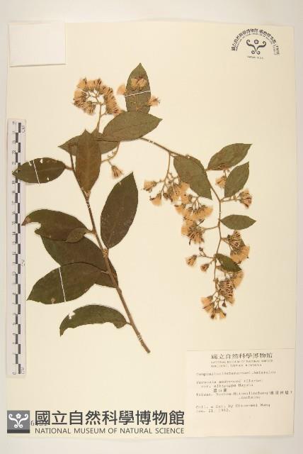 Accession Number:S006451 Collection Image, Figure 1, Total 2 Figures