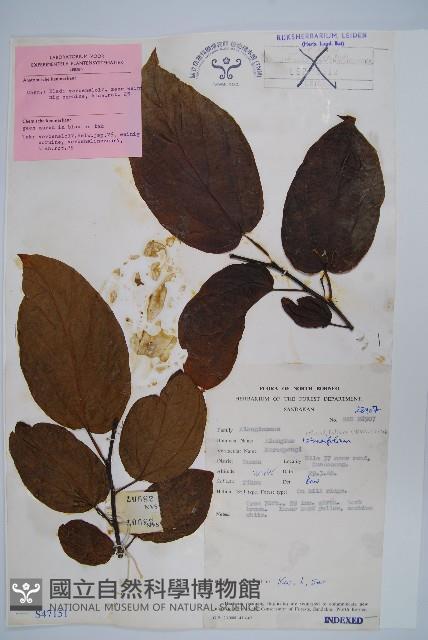 登錄號:S047151藏品圖，第1張