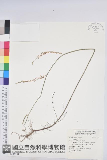 登錄號:S145551藏品圖，第1張