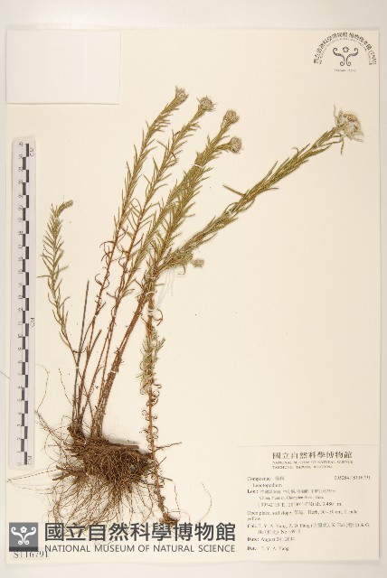 登錄號:S116791藏品圖，第1張