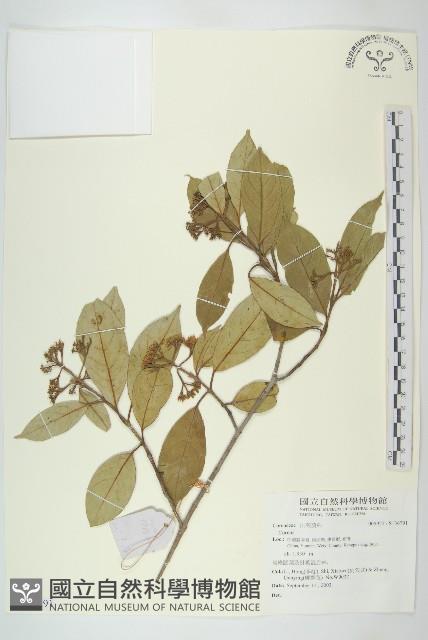 登錄號:S136791藏品圖，第1張