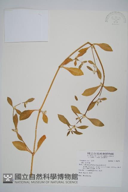 登錄號:S106591藏品圖，第1張