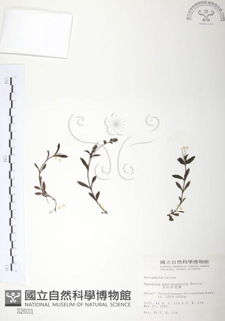 玉山水苦賈藏品圖，第1張