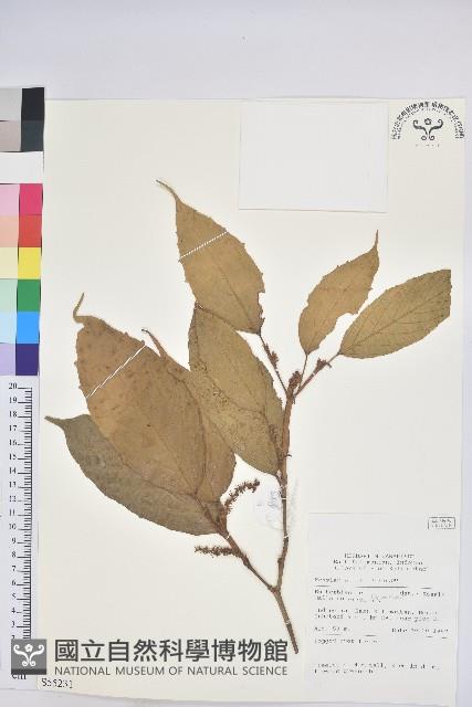 登錄號:S055231藏品圖，第1張