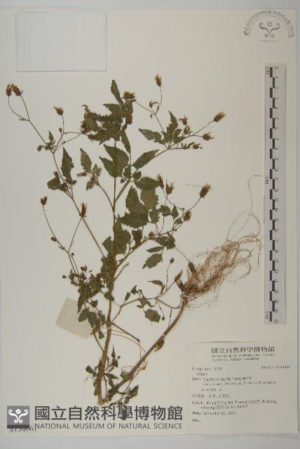 登錄號:S136661藏品圖，第1張