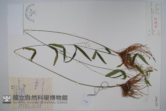 徐長卿藏品圖，第1張