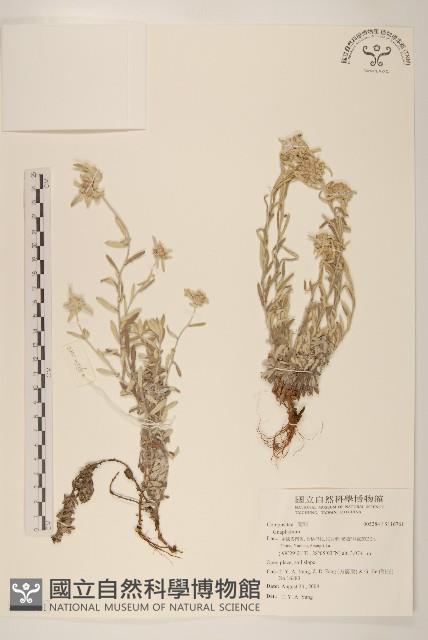 登錄號:S116761藏品圖，第1張